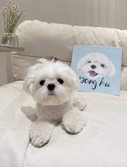 糖果波普